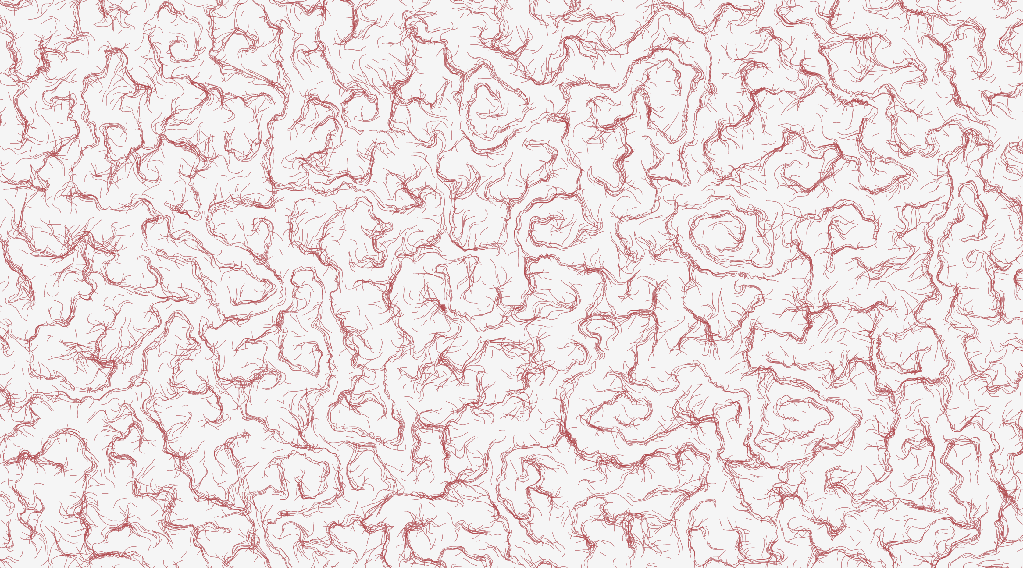 In the labyrinth generative art