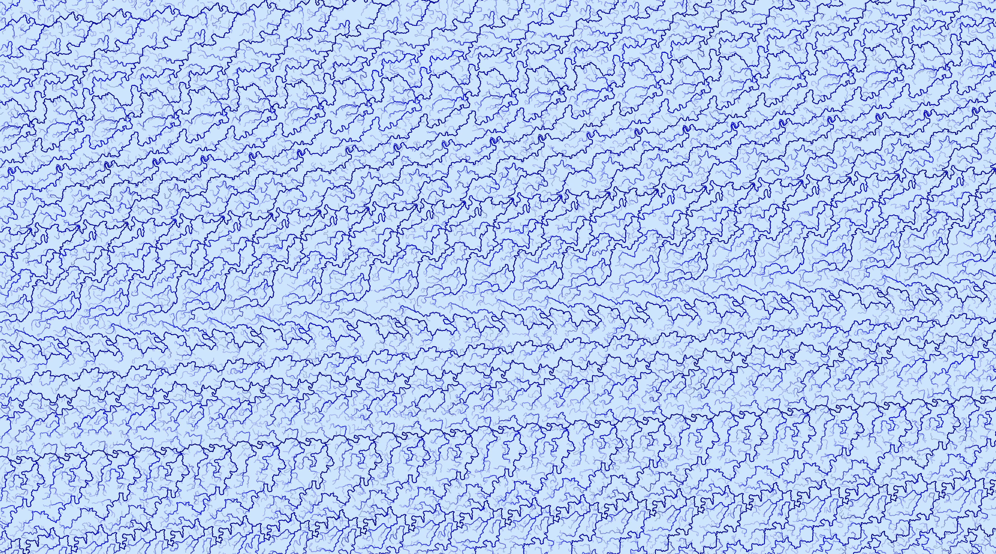 Dogs in line project image